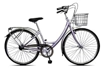 Viking Downtown Ladies Traditional 3 Speed Bike 19"
