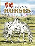 Big Book of Horses to Color[COLOR BK-BBO HORSES TO COLOR][Paperback]