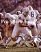 Bob Griese Miami Dolphins 8x10 Photo