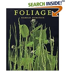 Foliage