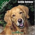 Golden Retriever 2007 Wall Calendar