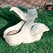 Pelican Planter/Feeder