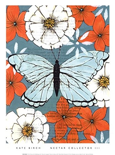 Nectar Collector III Poster Print by Kate Birch (10 x 14)