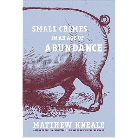 Small Crimes in an Age of Abundance by Matthew Kneale