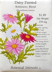 Daisy Painted Seeds Robinsons Blend 70 Seeds