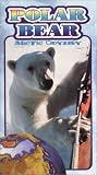 Polar Bear: Arctic Odyssey