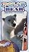 Price Comparison : Polar Bear: Arctic Odyssey
