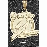 Tampa Bay Lightning NHL Sterling Silver 5/8 Charm