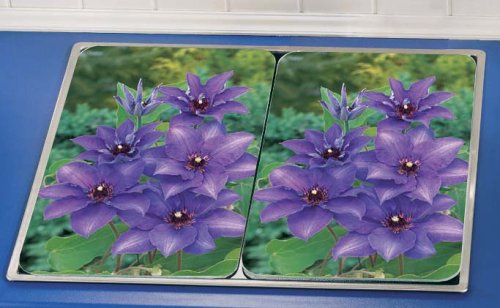 WENKO 2521110500 Herd-Abdeckplatte Universal Clematis - 2er Set, f&uuml;r alle Herdarten, Glas, Preisvergleich