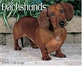 Just Dachshunds (Wall Calendars)