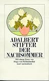 Produkt-Bild: Der Nachsommer (insel taschenbuch)
