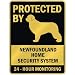 PROTECTED BY  NEWFOUNDLAND HOME SECURITY SYSTEM  PARKING SIGN DOG