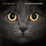 The life and love of cats