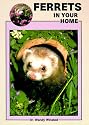 Ferrets in Your Home