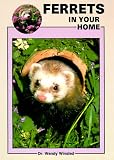 Ferrets in Your Home