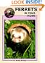 Ferrets in Your Home