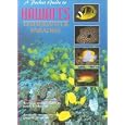 A Pocket Guide to Hawaii's Underwater Paradise by John Hoover and John P. Hoover