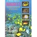 A Pocket Guide to Hawaii's Underwater Paradise