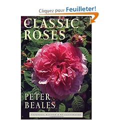 Classic Roses