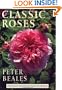 Classic Roses