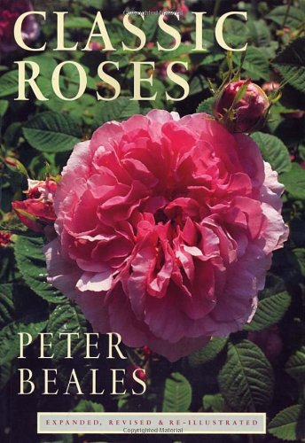 Classic Roses