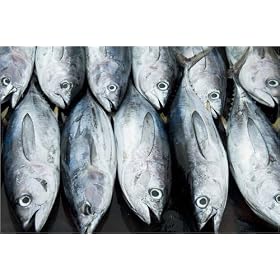 photographie Yellowfin tuna for sale. est disperible en (L x H): 60 x 40 cm de P. Game
