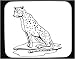 Decorated Mouse Pad with 