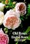 Old Roses and English Roses