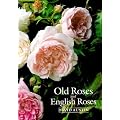 Old Roses and English Roses