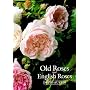 Old Roses and English Roses