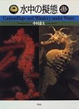 水中の擬態―Camouflage and Mimicry under Water