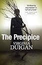 The Precipice