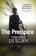 The Precipice