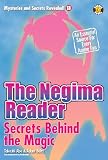 The Negima Reader: Secrets Behind the Magic (Mysteries and Secrets Revealed!)