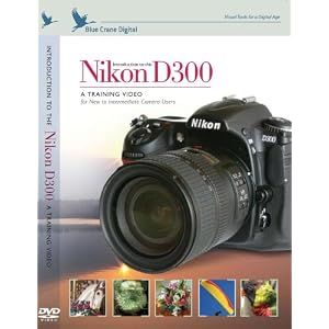 Introduction to the Nikon D300