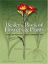 Besler's Book of Flowers and Plants: 73 Full-Color Plates from Hortus Eystettensis, 1613 (Pictorial Archive Series)