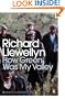 How Green Was My Valley (Penguin Modern Classics)
