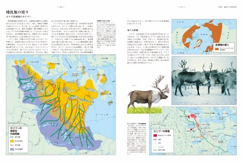 進化地図 スティーヴン・ジェイ・グールド路線
