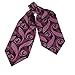 ERA7B04 Various of Colors Silk Ascot Patterned Mens Cravat Great Gift By Epoint