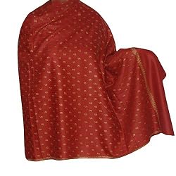 Kashmir Shawls Wool Winter Accessory 80 x 40 inches (ebs319)