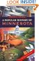 A Popular History of Minnesota