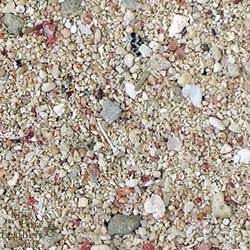 Top Quality Arag Alive Bimini Pink 4 - 10lb Bags/case 