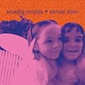 Siamese Dream (vinyl)