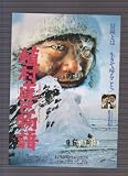 映画チラシ　「植村直己物語」監督　佐藤純彌　出演 西田敏行、倍賞千恵子、古尾谷雅人 佐藤純彌