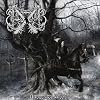 Unblessed Woods