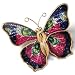 Jewelry : Multi-Color Butterfly Pin
