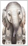Little Elephant (Look at Me Books)