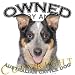 Australian Cattle Dog BLUE Owned By Adult Hoodie Hooded Sweatshirt