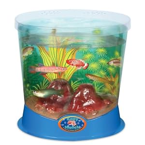 Geospace Easy Hatch Tropical Fish Hatchery by GeoSpace