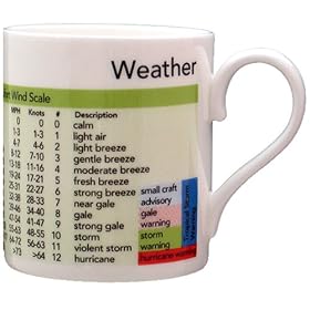 Weather Information Mug